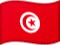 Tunisia flag